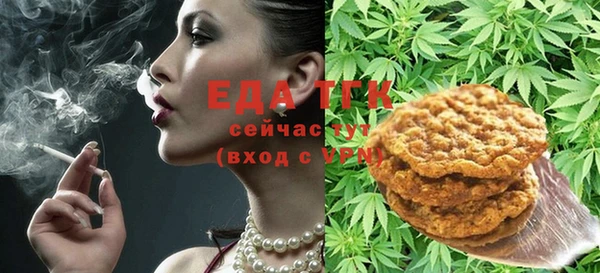метамфетамин Ельня